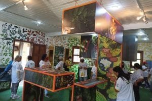 242891473_1176289846214321_5841148633376569023_n