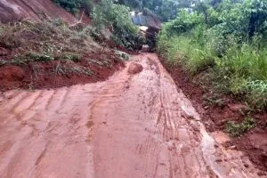 273572271_1265853397257965_398401561208352367_n 273572271_1265853397257965_398401561208352367_n