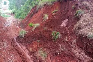 273744572_1265853377257967_4208178824974908276_n 273744572_1265853377257967_4208178824974908276_n