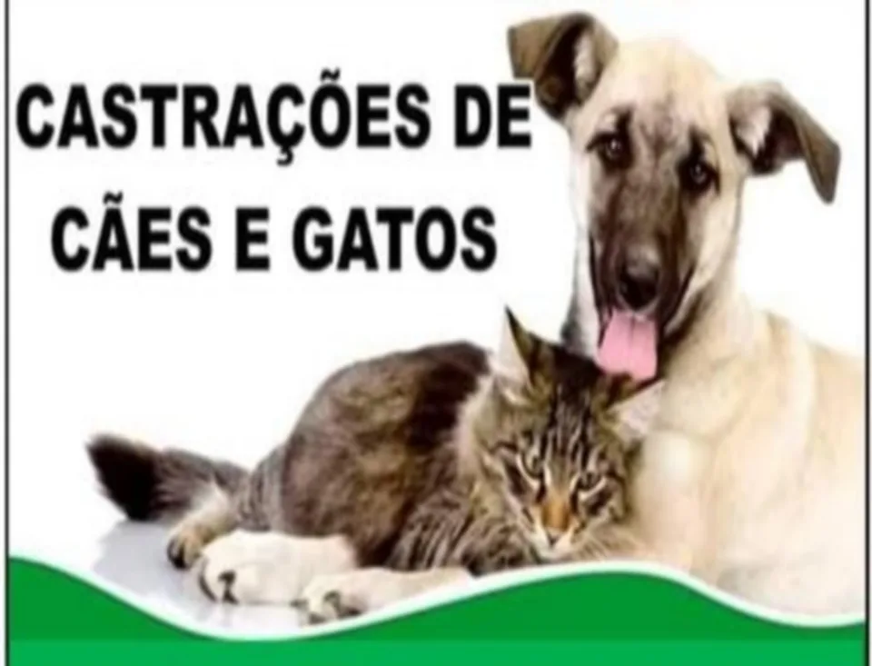 Sem título 1 Sem título 1
