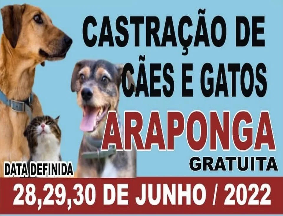 Sem título 1