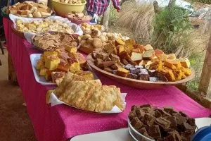 359840576_1609129062930395_4934705658004636012_n 359840576_1609129062930395_4934705658004636012_n